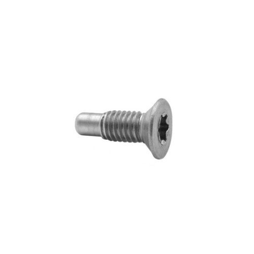 Luff Screw; Furlex 200TD; M6x17