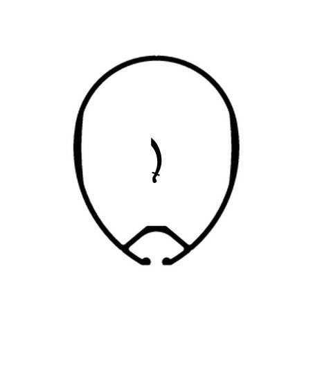 $productcomments_product->name